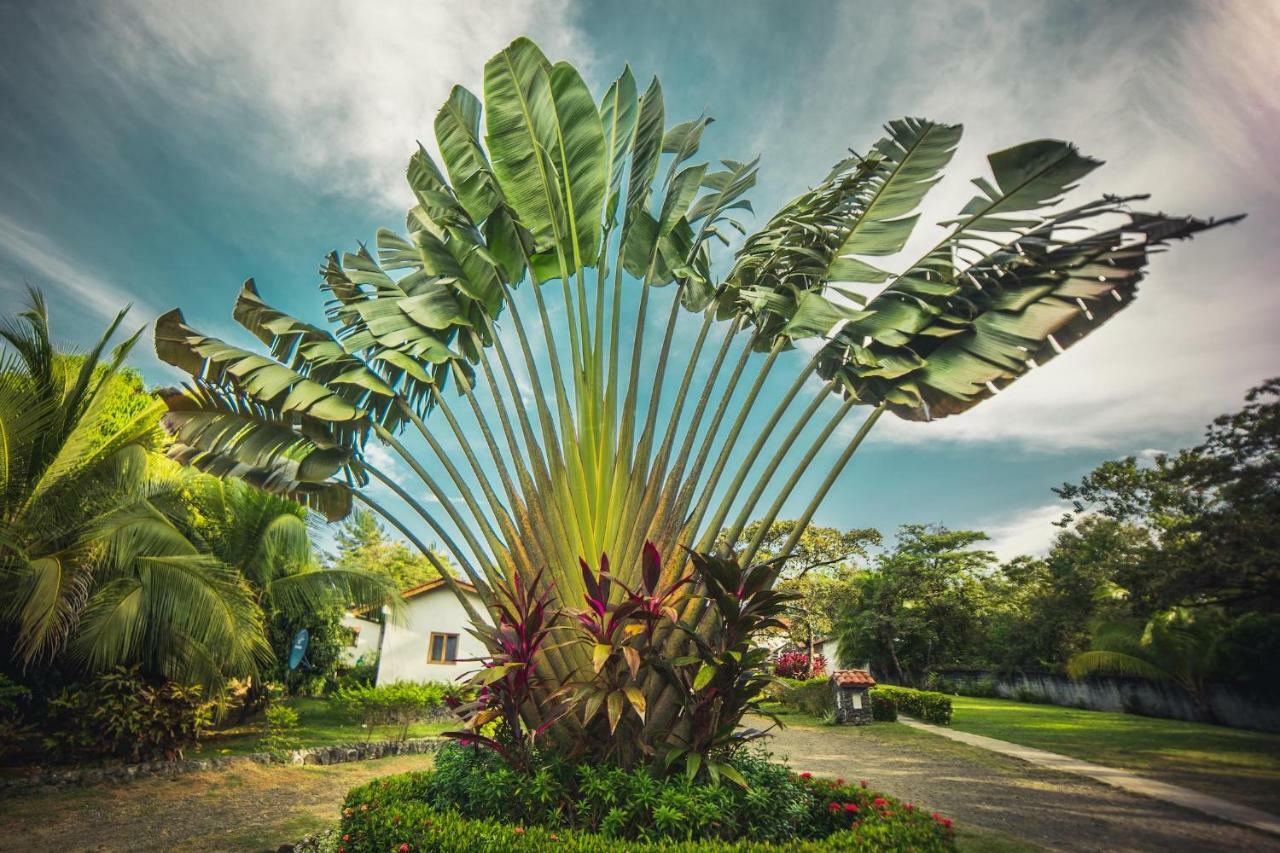 Hotel Santa Catalina Panama Εξωτερικό φωτογραφία